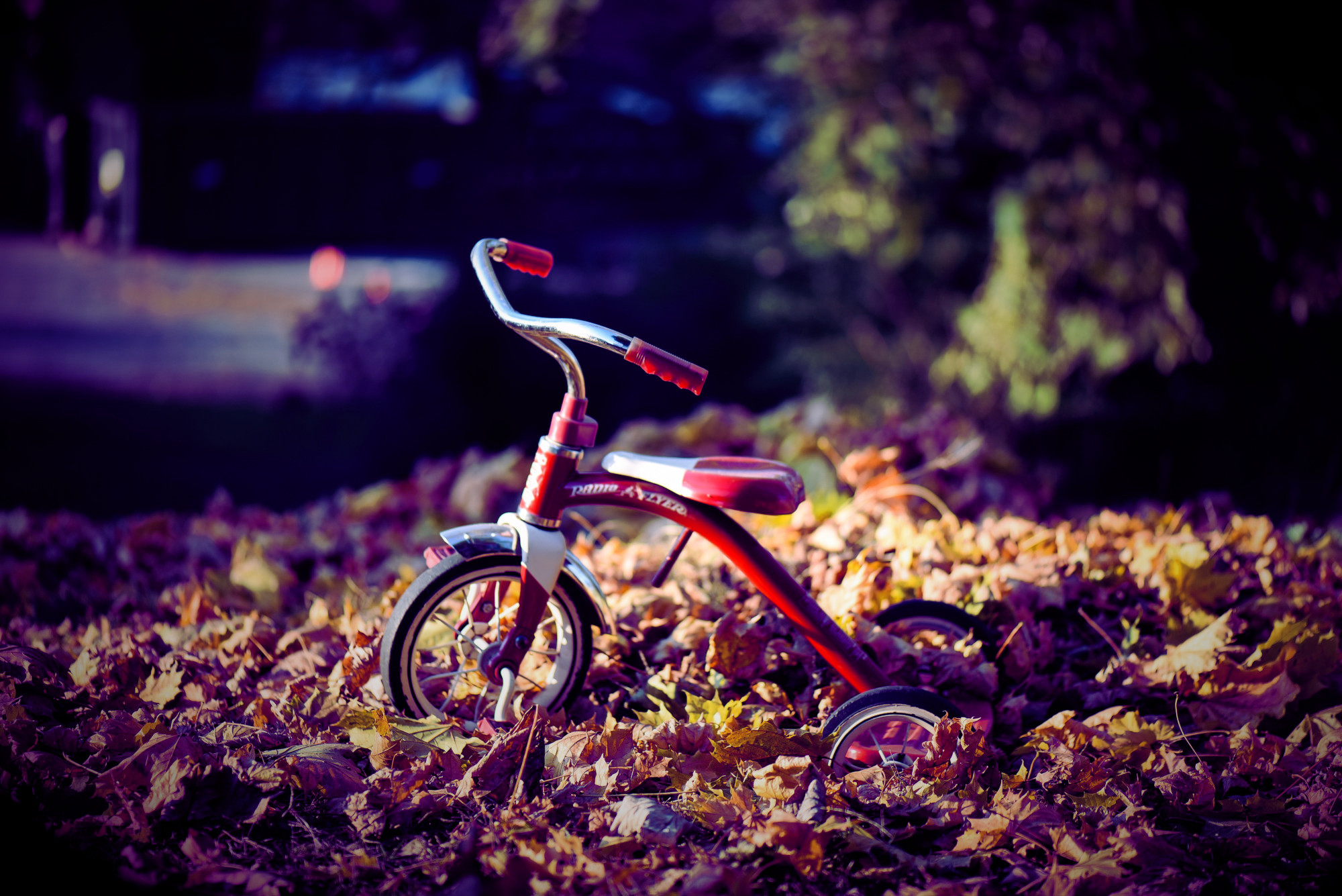 A tricycle in autumn leaves.